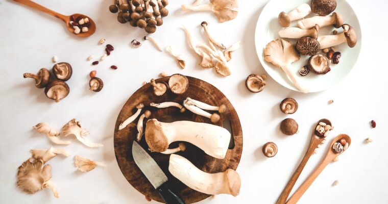 Mushrooms: Nature’s Healing Gifts for Body and Mind