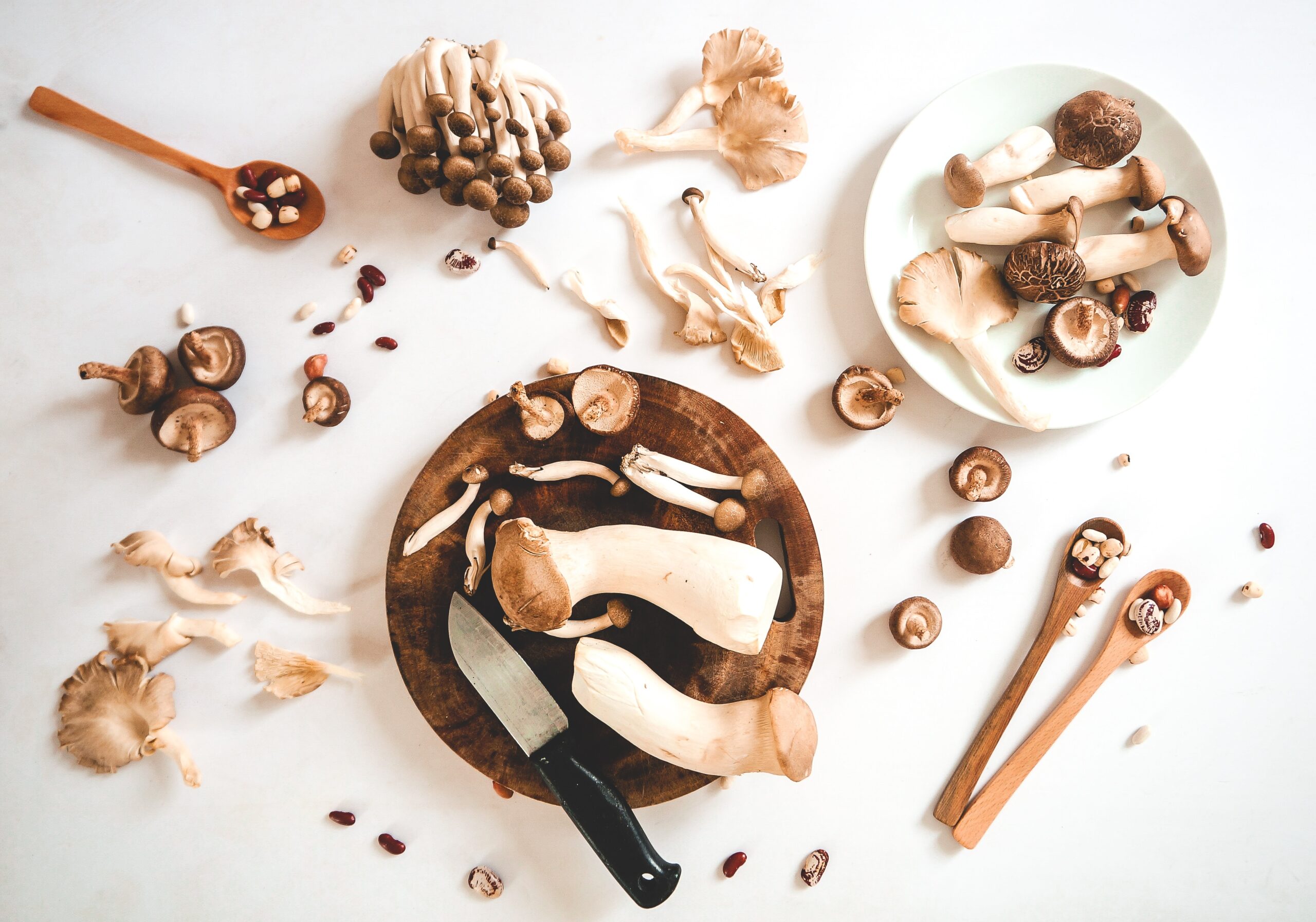 Mushrooms: Nature’s Healing Gifts for Body and Mind